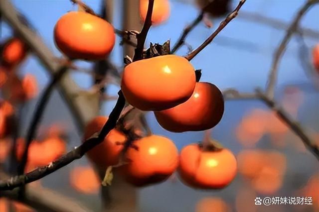 老人说：“门前一支香家财全败光”什么叫一支香？有啥讲究(图16)