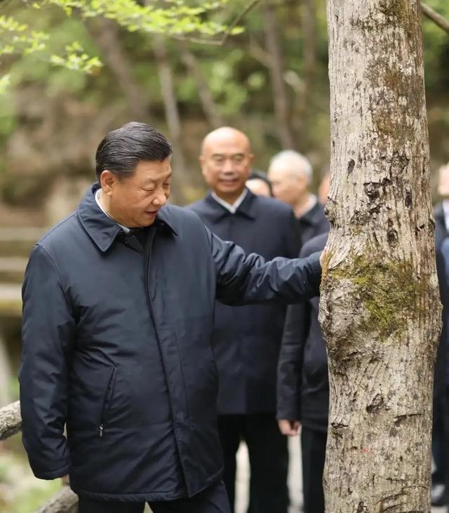 【学习小组】这些树故事感人(图3)